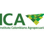 ICA